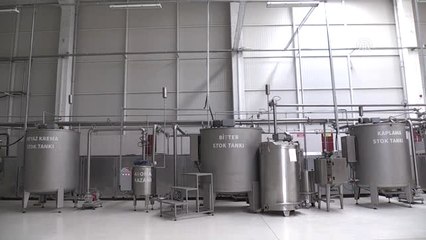 Diyarbakır'dan 17 Ülkeye Çikolata İhraç Ediyor