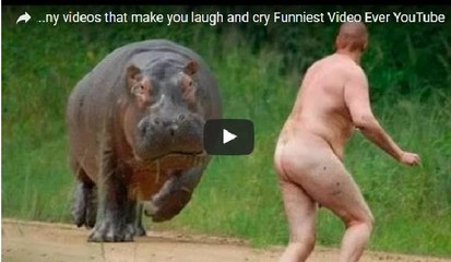 Most funny video ever || Most funny video of all time || Most funny video  of 2017 - video Dailymotion