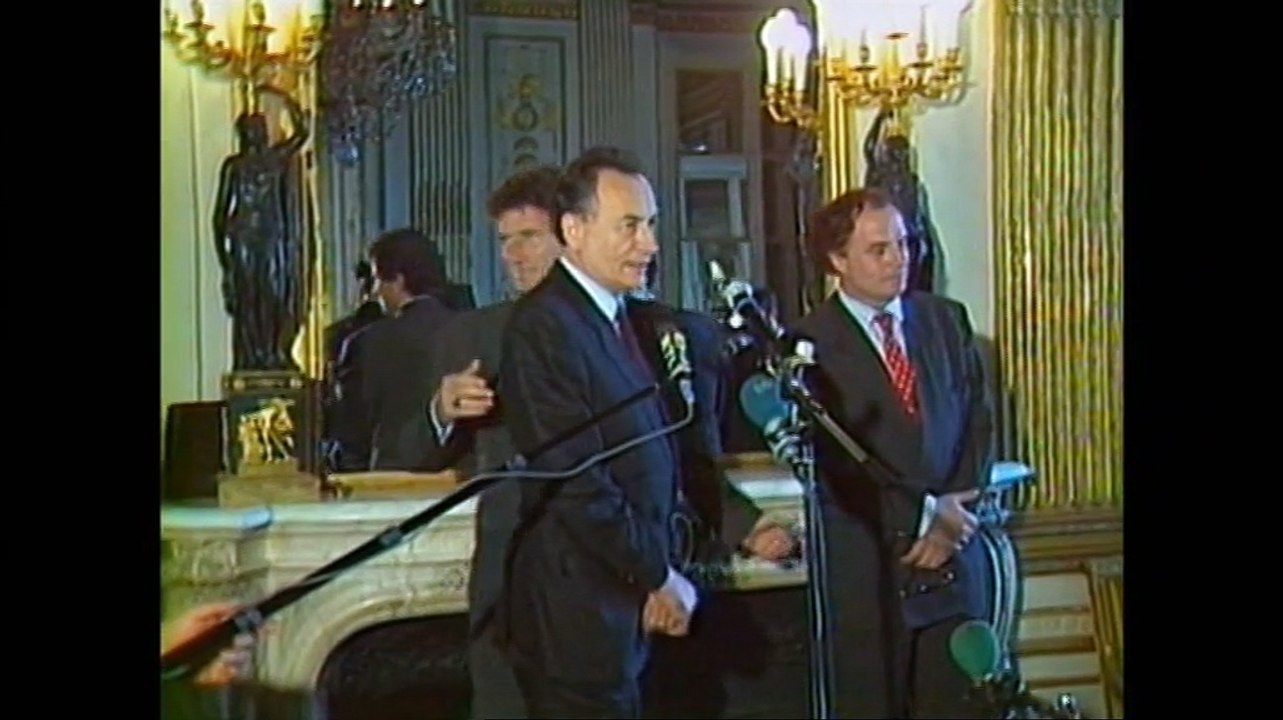 Des.artistes.au.pouvoir : 1981-1988
