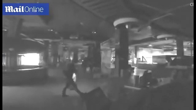 Un papa et son fils cachés dans un grand magasin pour profiter des jeux d'enfant la nuit