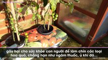 Làm chín trái cây chỉ sau 1 đêm, vô cùng thơm ngon lại đảm bảo sức khỏe