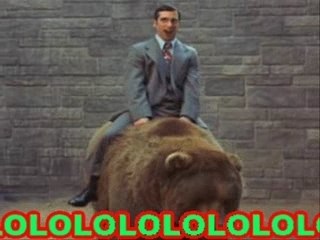 funny and random gifs