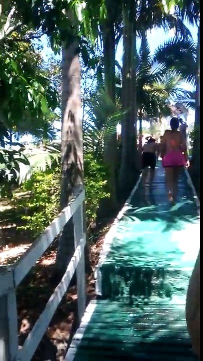 Um dia na piscina 