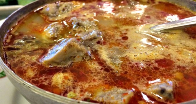 Canan Karatay Adana'daki Konuşmasında, Kelle Paça Yiyin Dedi, Salon Yıkıldı