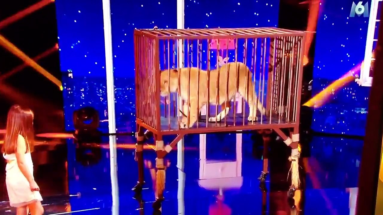 Éric Antoine promet à 30 Millions d’Amis de ne plus faire monter d’animaux sauvages sur scène