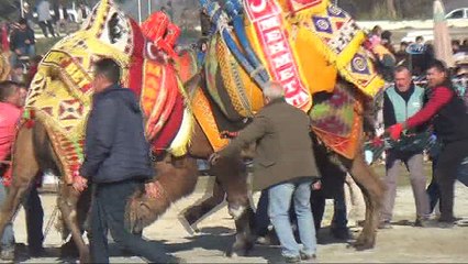 Develer yılın ilk güreşini İncirliova Arenası’nda yaptı