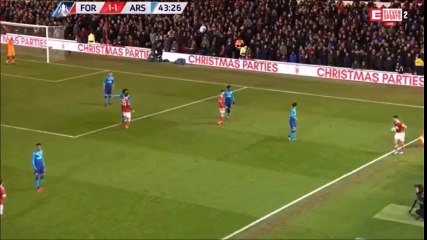 Eric Lichaj Amazing Volley Goal vs Arsenal (2-1)