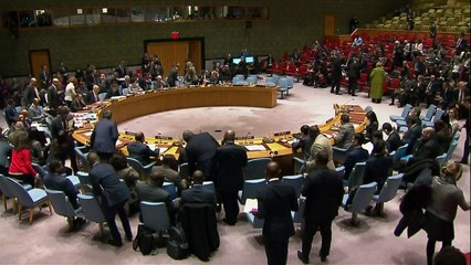 EEUU y Rusia chocan en la ONU por las protestas en Irán