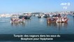 Turquie: des nageurs dans les eaux du Bosphore pour l'épiphanie