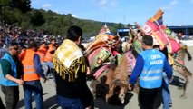 Bodrum Deve Güreşi Festivali - MUĞLA