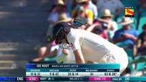 The ashes australia vs england 2018 5th test day 4 highlights