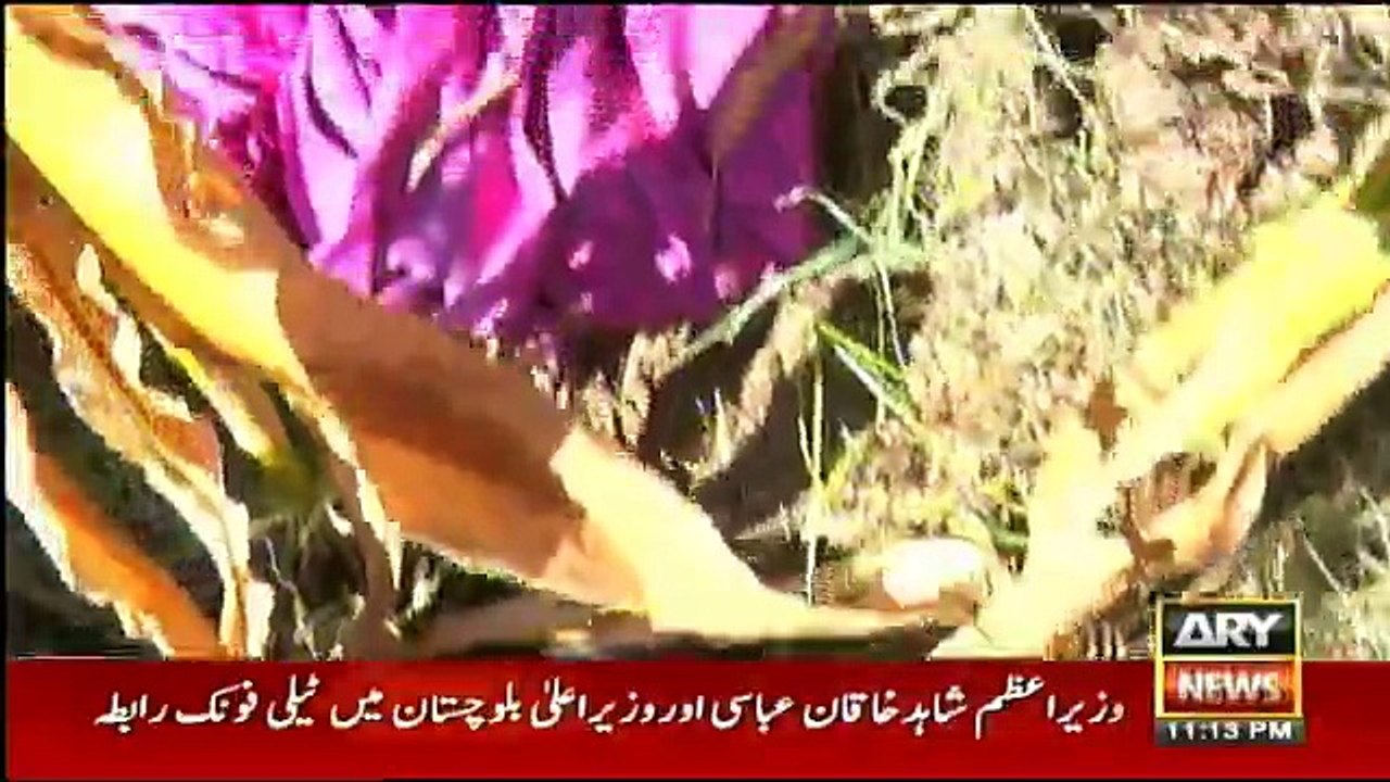 Criminals Most Wanted - 7th January 2018