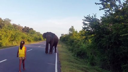 Cette petite fille maitrise un élephant. Incroyable