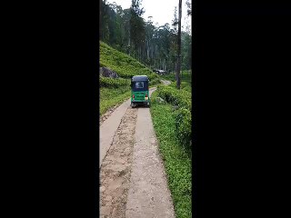 Awesome Trip to Kellabokka Sri Lanka