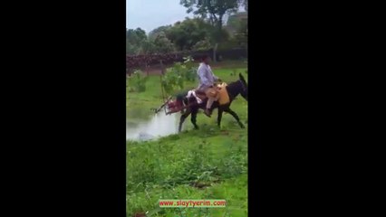 Organik ve teknolojik tarım