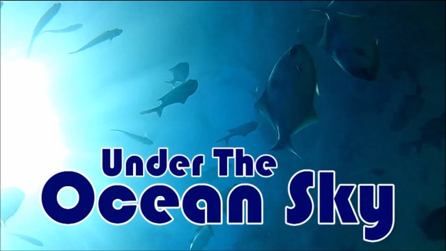 Under the Ocean Sky Port Noarlunga Jetty