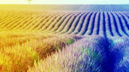 Não temas | Marcos Antonio