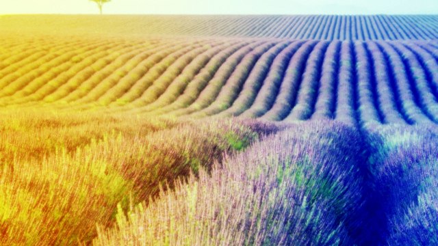 Dio ha fatto cose grandi | Chiesa Evangelica Pentecostale ADI di Corsico