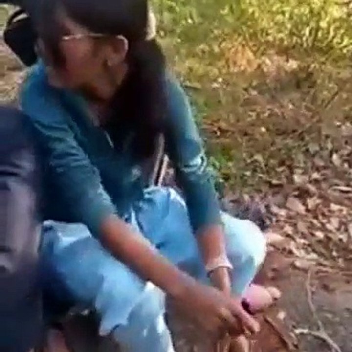 Jangal me mangal