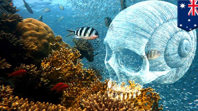 The world's coral reefs are dying much faster than you think