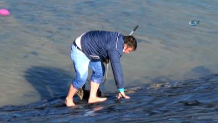 Gölette filelerle nefes kesen tilki kurtarma operasyonu