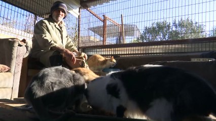 Sokak hayvanlarının fedakar dostu - İZMİR