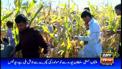 Criminal Most Wanted 7th January 2018