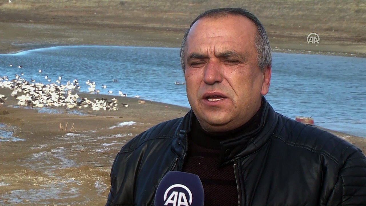 Devlet desteğiyle kaz çiftliği kurdu - ÇANKIRI