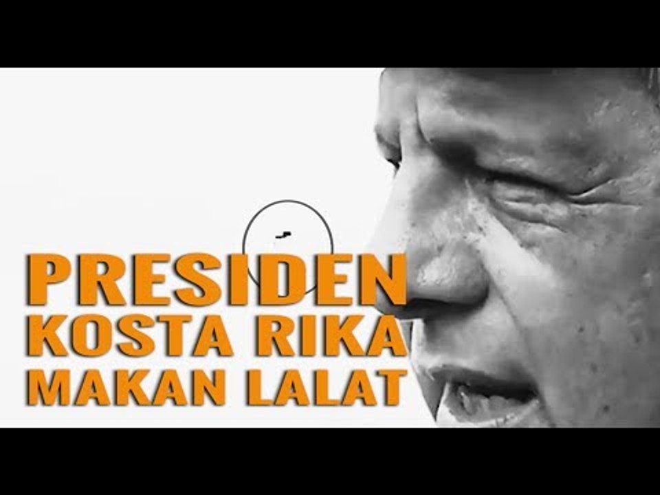 Kocak! Presiden Kosta Rika Tak Sengaja Makan Lalat, Hiii....