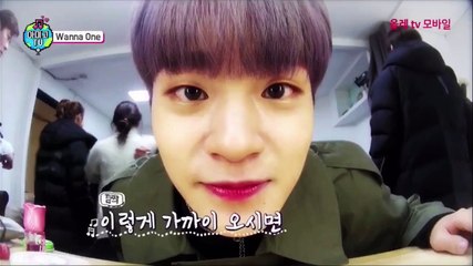 Wanna One - Amigo TV Ep. 1 RAW
