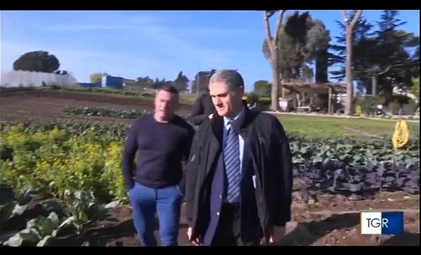 Isola Solidale: lettera a Papa Francesco per ospitare famiglie in difficoltà il giorno dell'Epifania