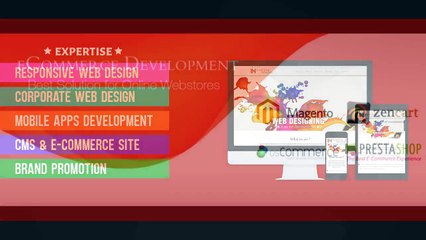 E Commerce Web Design and Development Company