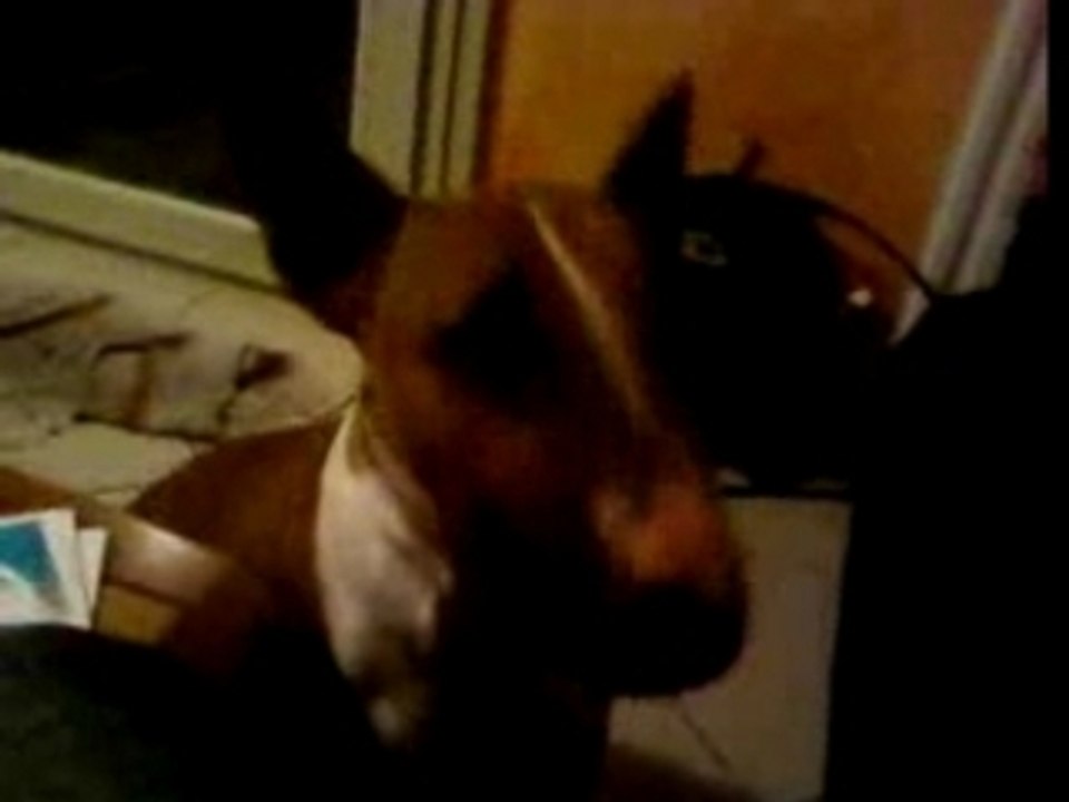 tyna