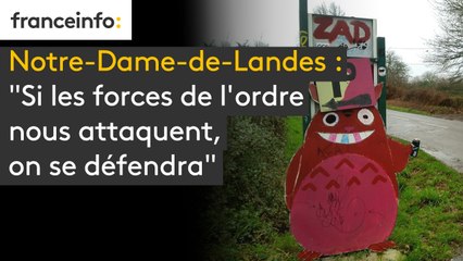 Notre-Dame-de-Landes : "Si les forces de l'ordre nous attaquent, on se défendra"
