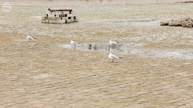 [Jardin du Luxembourg] Travaux d'aménagement, pour l'alimentation du jardin en eau non potable
