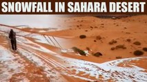 Sahara Desert Witnesses Snowfall Due To Drop In Temperature; Watch Video | OneIndia News