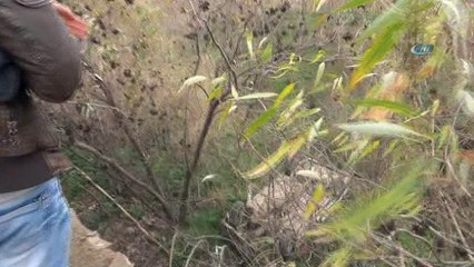 Yakıtı bittiği için halatla çekilen otomobil sürücüsüyle 6 metrelik uçuruma düştü