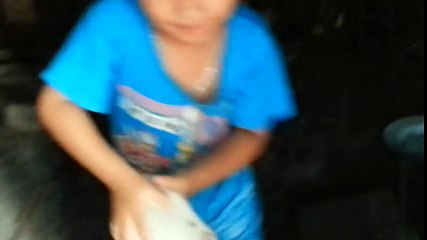 The baby stole the kitten, the mother cat quickly rescue!