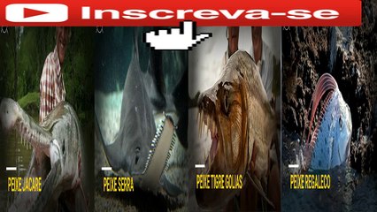 8 Peixes Que Se Não Fosse Filmado Ninguém Acredita