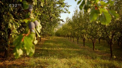 Bozi dar - pribehy ceskych potravin E06 -dokument (www.Dokumenty.TV)