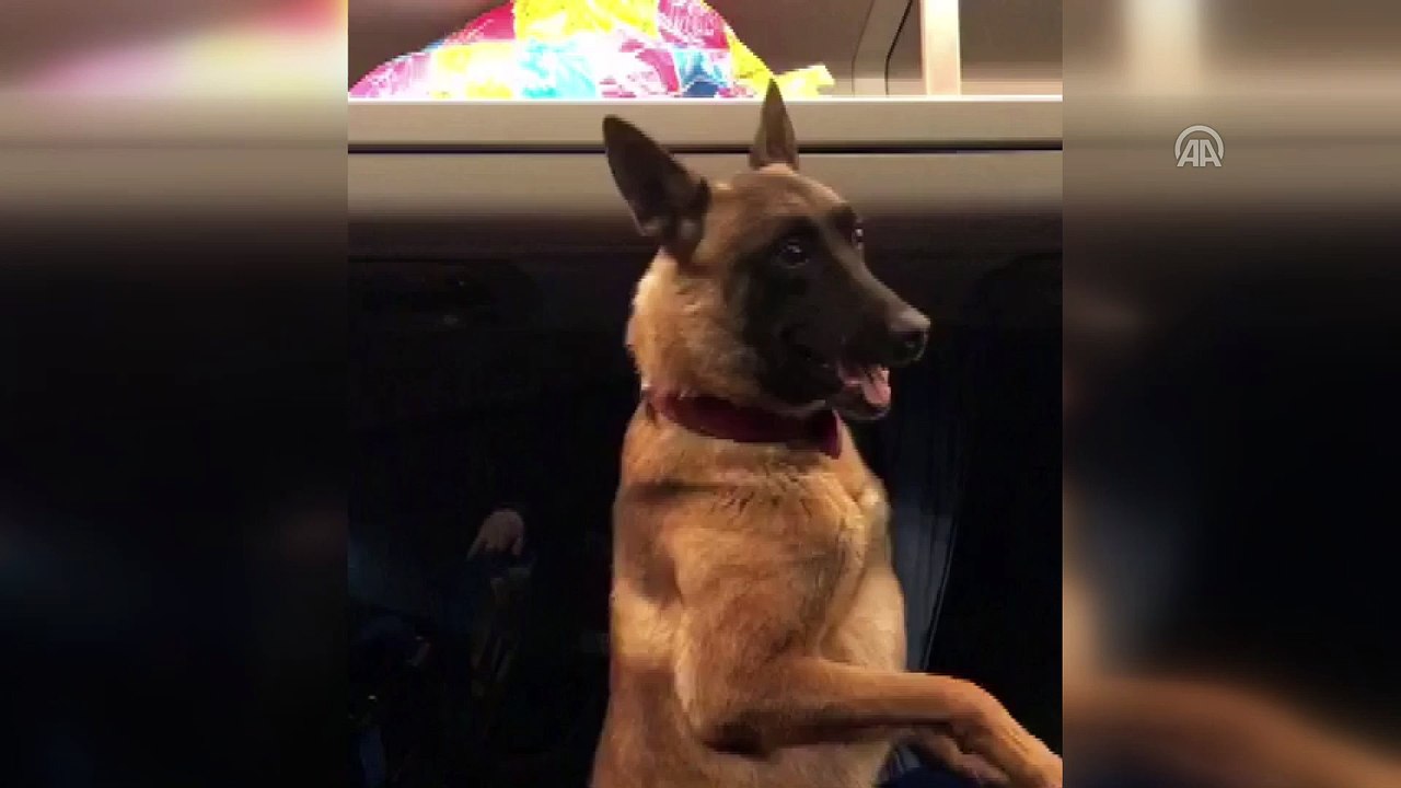 'Atik' uyuşturucuya geçit vermedi - SİVAS