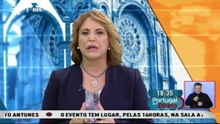 Cavalo garanhão