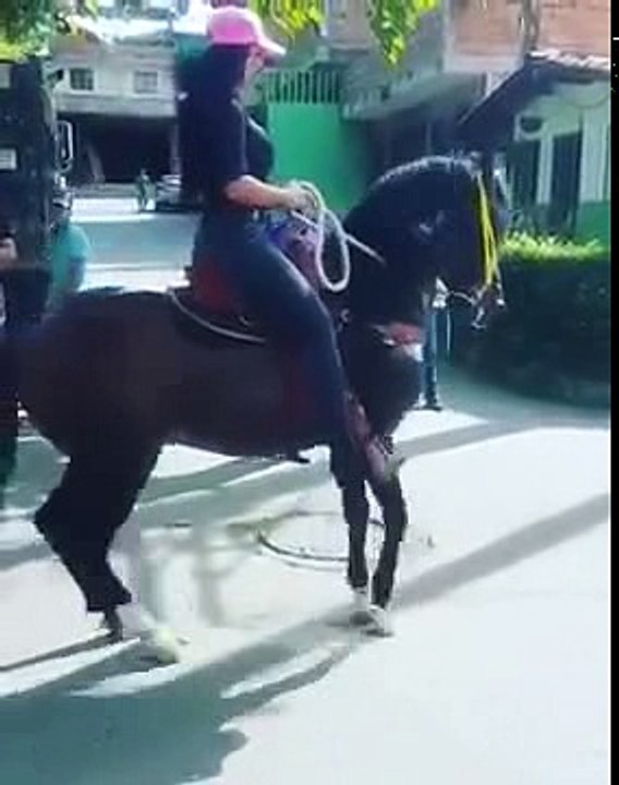 Dos Verdadera Montura de Paso Fino
