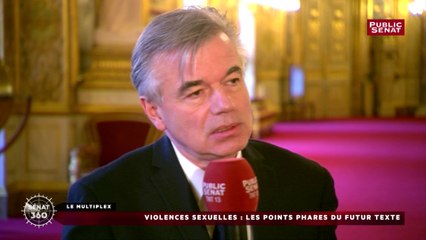 Alain Houpert souligne les cas « d'amnésie » traumatique consécutifs à des violences sexuelles