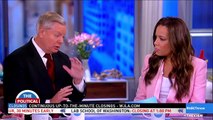 ‘Nobody else will’: Lindsey Graham tells The View why Donald Trump has to call himself a ‘genius’