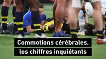 Rugby - Top 14 : Commotion cérébrales, les chiffres inquiétants