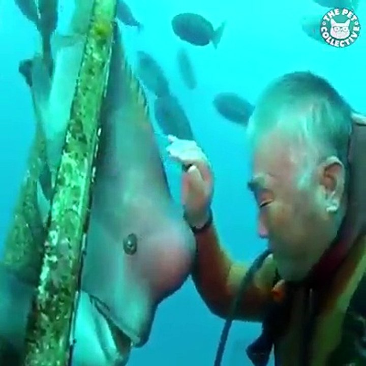 Fish are great pets too! ❤️