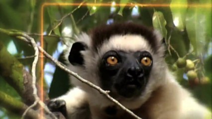 Family CHRGD: Be the Creature Promo (2016)