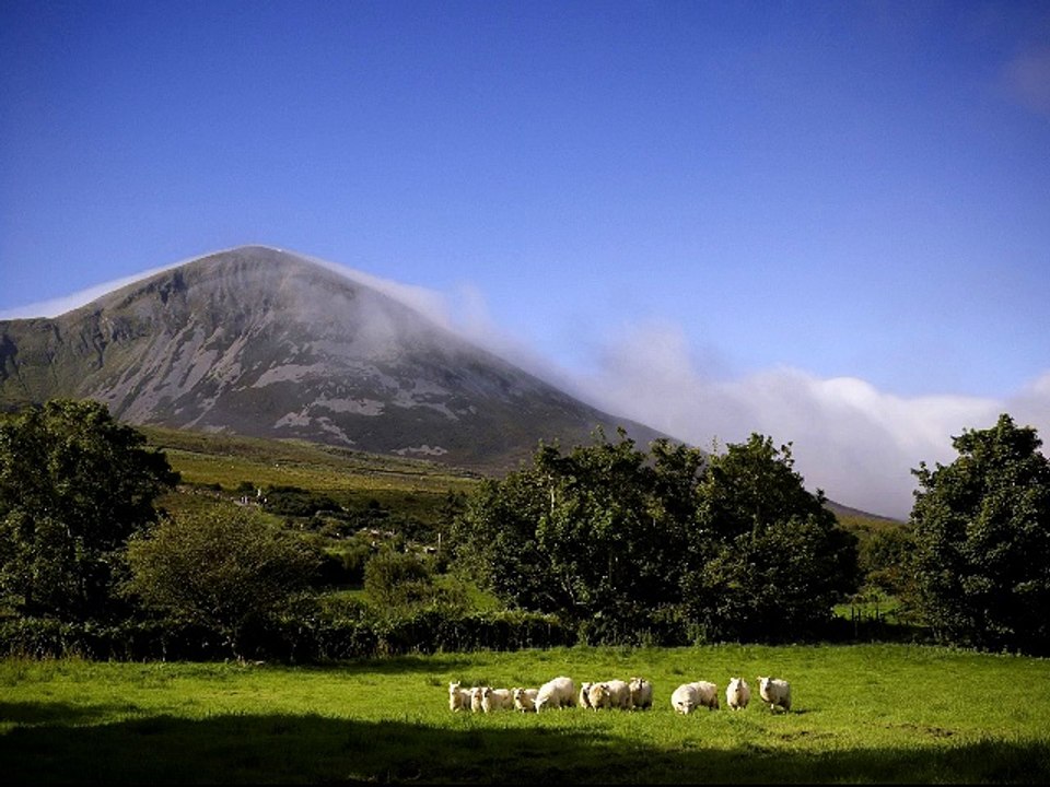 PASSALO Irish Dream