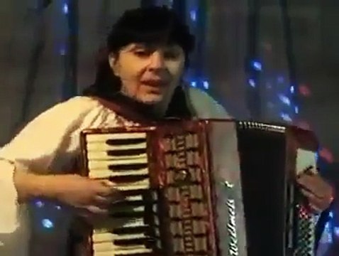 acordeon live